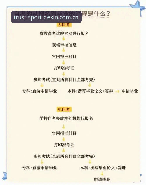 德信体育APP官网使用体验深度评测：从下载到登录的全流程指南